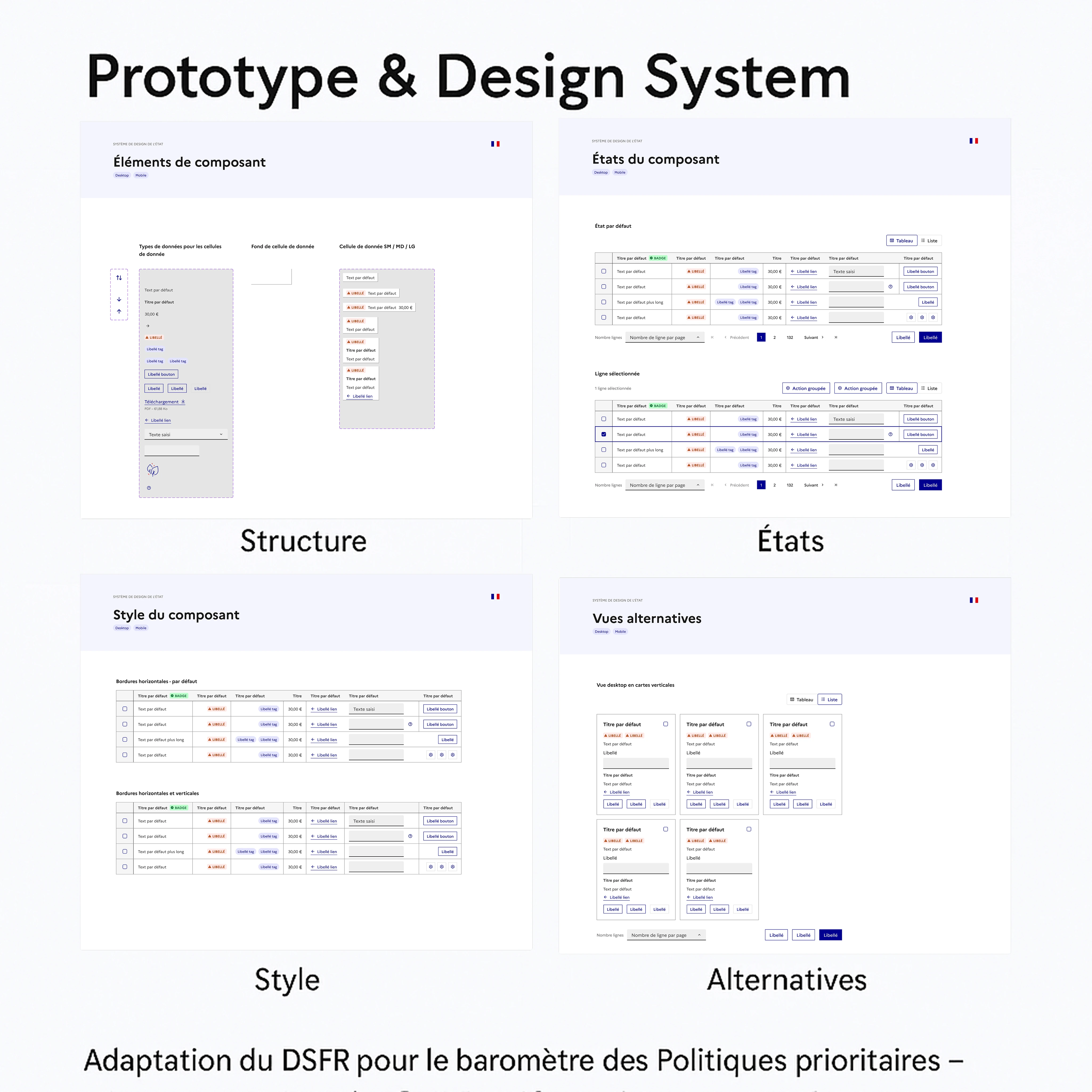 Design System - Adaptation DSFR pour Politiques Prioritaires
